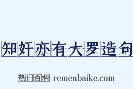 知奸亦有大罗造句是什么意思的图片